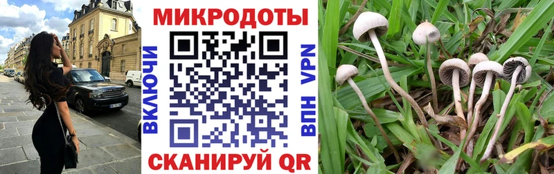 дарк нет формула  магазин продажи   Островной  Галлюциногенные грибы MAGIC MUSHROOMS 