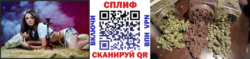 дарк нет какой сайт  Островной  Шишки марихуана марихуана 